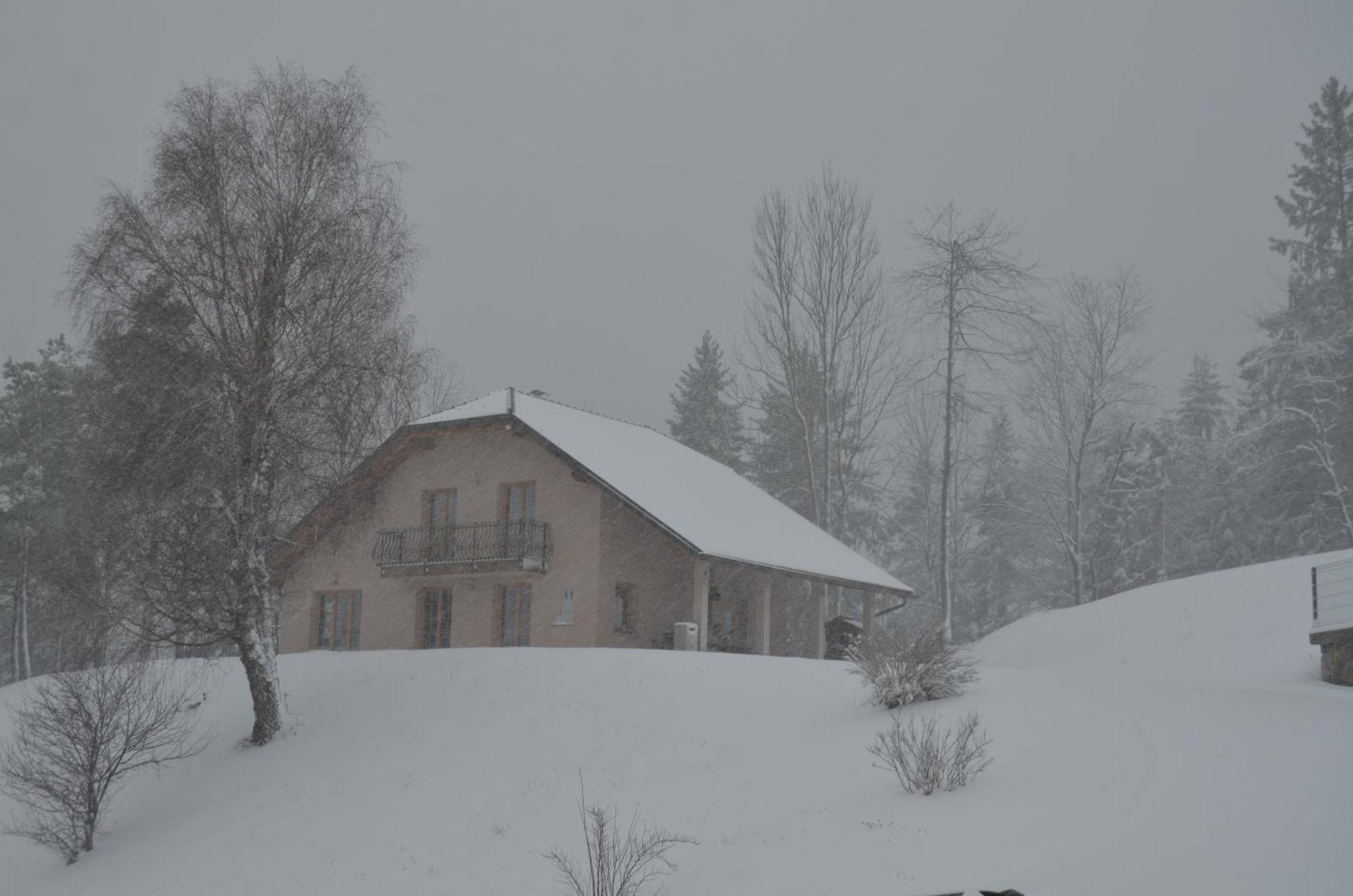 Ferienhaus With Hot Tub And Sauna Sabina *